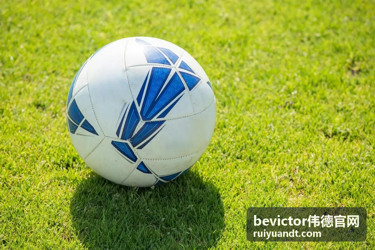 bevictor伟德 精密校准服务